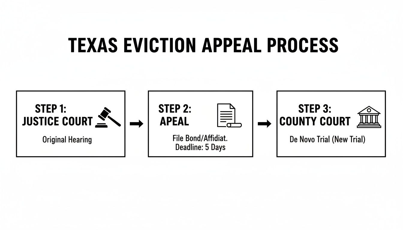 Flowchart illustrating the three-step Texas eviction appeal process from justice to county court.