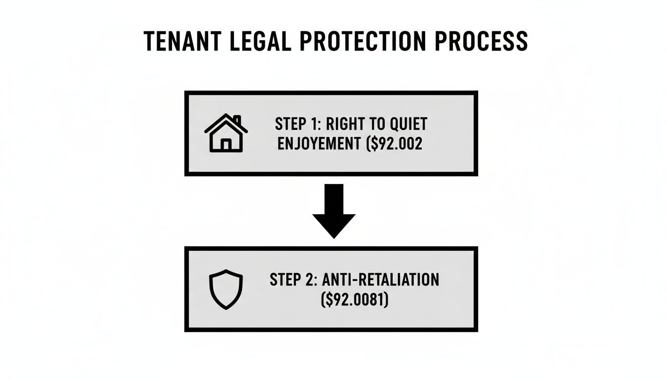 Flowchart illustrating the tenant legal protection process, including right to quiet enjoyment and anti-retaliation.