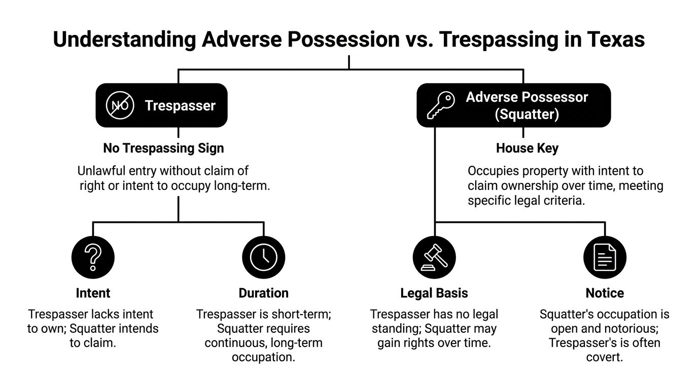 A flowchart explaining the legal differences between a trespasser and an adverse possessor in Texas.