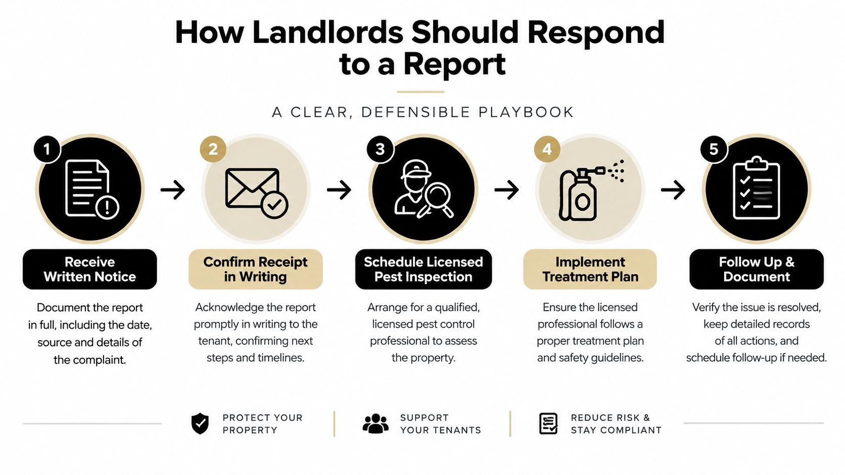 A five-step infographic showing how landlords should respond to pest reports for legal property management compliance.